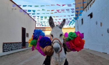 Explore Ures Sonora: Una Experiencia Gastronómica Inolvidable
