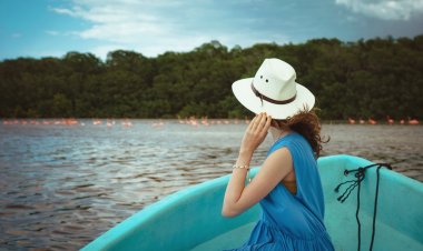 Vive la magia de la naturaleza: 5 destinos para el avistamiento de aves