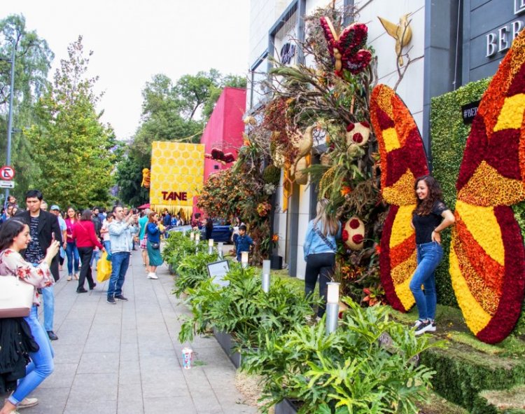 ¡Explora la Magia de la Naturaleza en el Festival de Flores y Jardines de CDMX!