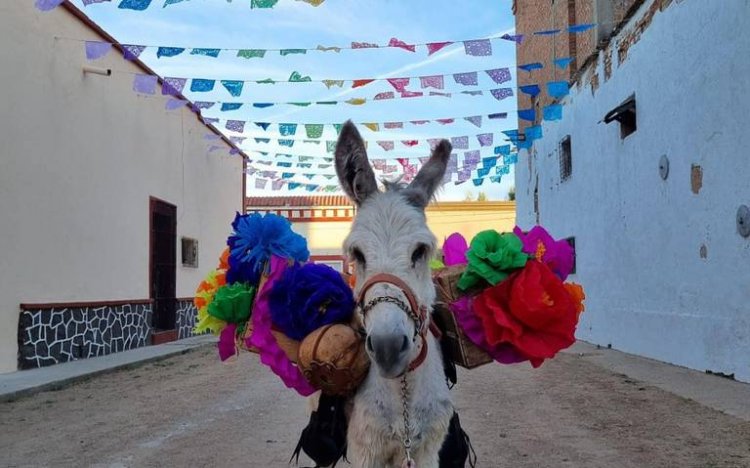 Explore Ures Sonora: Una Experiencia Gastronómica Inolvidable