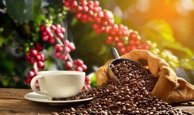 Celebra el Café de México en Veracruz