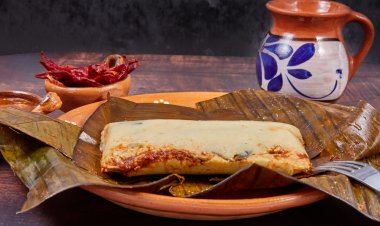 ¡Explora el Delicioso Mundo de los Tamales en la Feria de Xalapa!