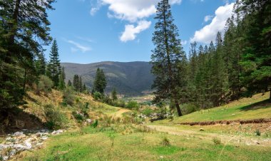 Explora Arteaga: El Pueblo Mágico Más Otoñal de Coahuila