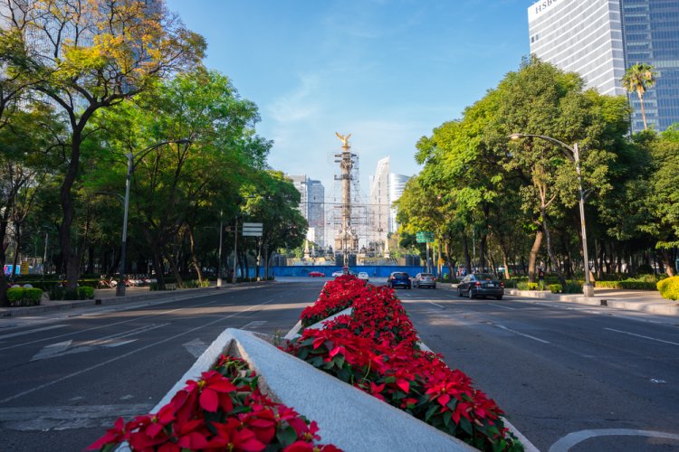 Explora la Magia de la Navidad en la CDMX: Recorrido Histórico.