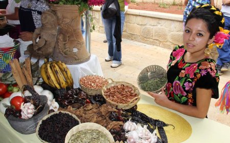 2023: ¡Descubre la magia de Oaxaca!