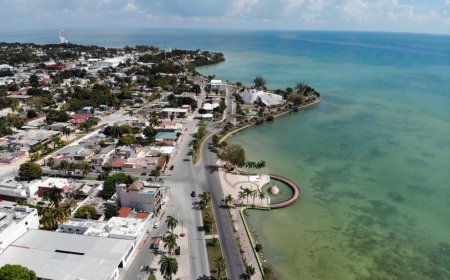 ¡Explora el Primer Mágico Barrio de México!