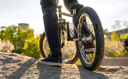 Un sendero entre la selva y la cultura en Yucatán, para conectarte con la madre tierra