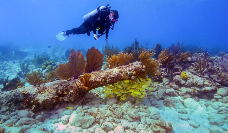 Mahahual, Quintana Roo