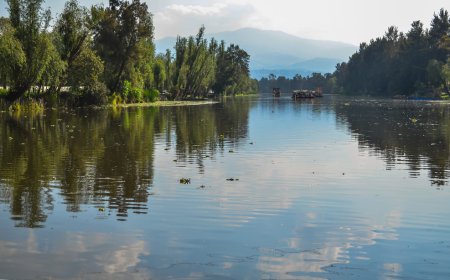 ¡Vive Una experiencia emocionante e inolvidable en Xochimilco!