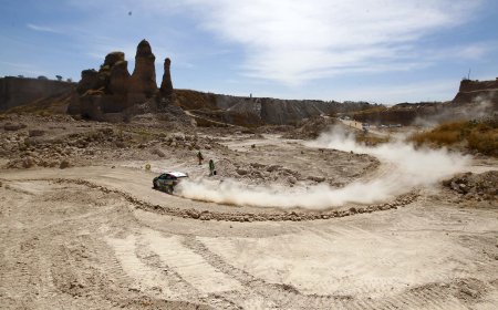 ¡México Se Vive en el Campeonato Mundial de Rallies WRC!