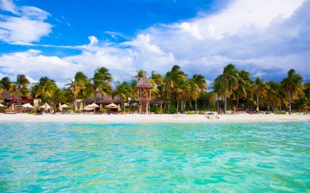 Explora los Paraísos Tropicales de la Costa