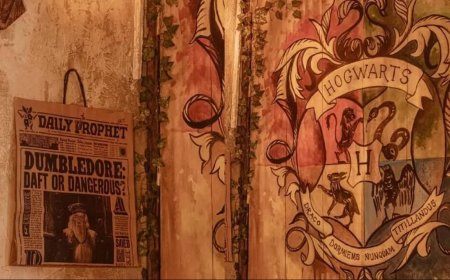 Explora el Magico Hotel de Harry Potter en Yucatán.