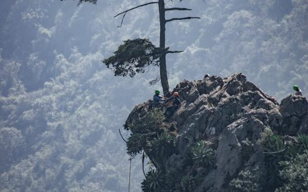 Veracruz: ¡Descubre la Maravilla del Mirador de Piedra del Águila!