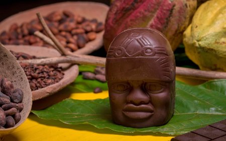 Explora la Deliciosa Cocina de Villahermosa: 4 Platillos Tabasqueños Imperdibles