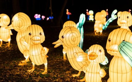 ¡Ilumina CDMX! Festival de Linternas, ¡Una Experiencia Inolvidable!