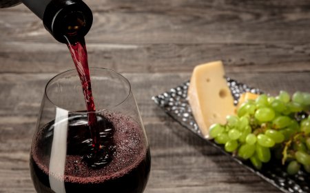 Vive el Vino y la Magia del Festival Internacional de San Luis Potosí