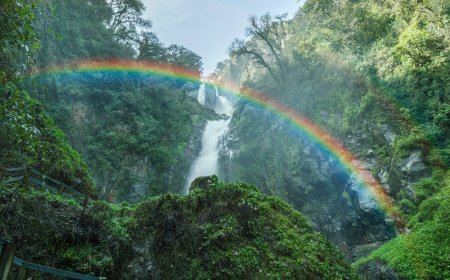 Explora los Manantiales Mágicos de Jicolapa, Puebla.