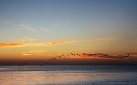 Descubre Sabancuy: La Playa Bohemia Más Secreta de Campeche