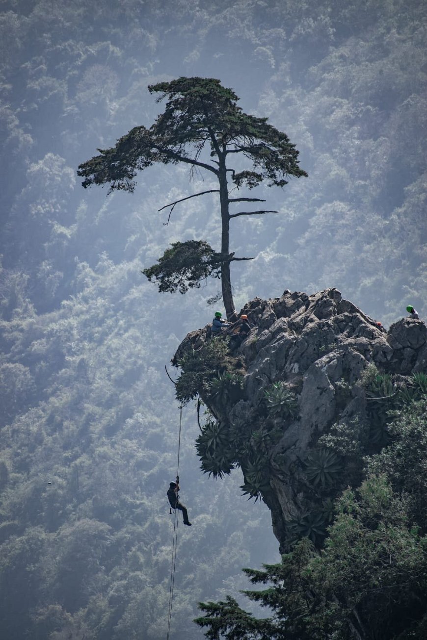 Veracruz: ¡Descubre la Maravilla del Mirador de Piedra del Águila!