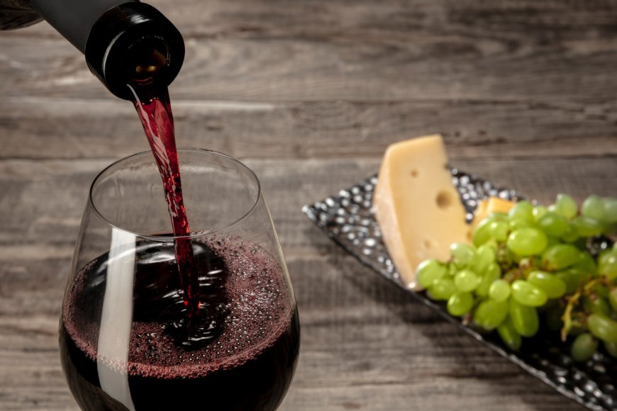 Vive el Vino y la Magia del Festival Internacional de San Luis Potosí