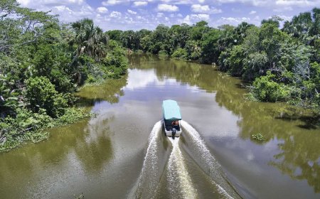 El Encanto de Centla: El Nuevo Pueblo Mágico de Tabasco.