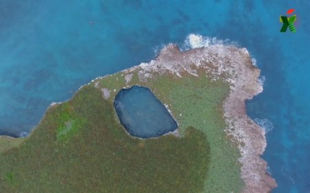 Descubre los 8 Mejores Lugares para Visitar en Puerto Vallarta