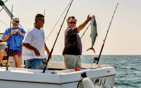 Los mejores destinos de México para amantes de la pesca deportiva