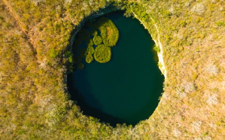 El cenote más profundo del mundo está en Tamaulipas