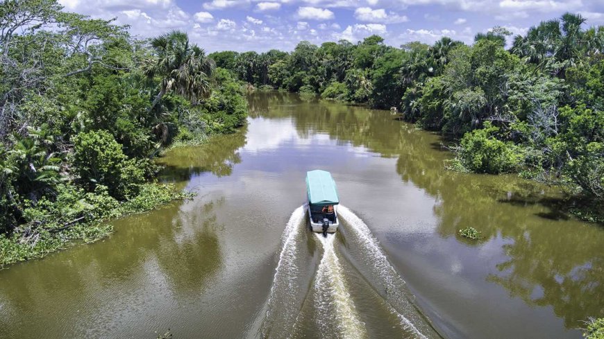 El Encanto de Centla: El Nuevo Pueblo Mágico de Tabasco.