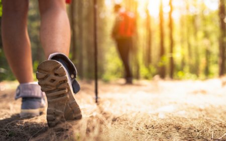 Esta es la nueva área natural protegida de Querétaro: Peña Colorada