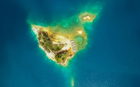 Ecoturismo en el lago Pojoj y la isla de las orquídeas en el mágico Chiapas