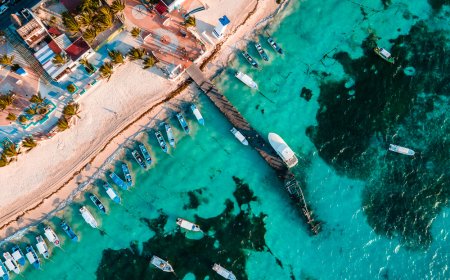 9 Experiencias Inolvidables al visitar Puerto Morelos