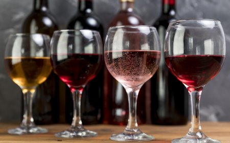 ¡Vive el Festival Internacional del Vino y la Buena Vida!