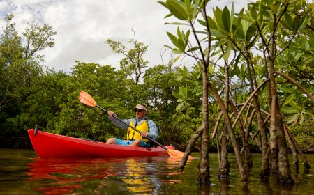 Conoce las nuevas cuatro áreas protegidas de Quintana Roo