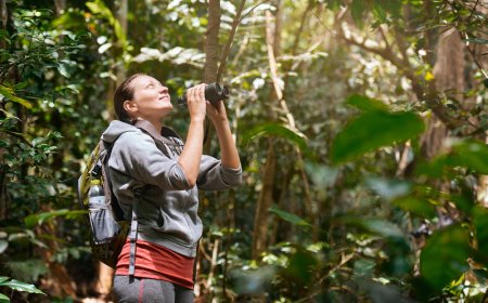Día Mundial del Turismo, celébralo recorriendo escenarios naturales en México