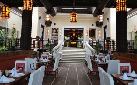 Sumérgete en una experiencia gastronómica