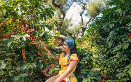 ¡Embárcate en una Aventura Café-tástica en Puebla!