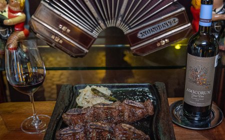 Bandoneón: La mejor calidad en carnes y mariscos en el centro de Cancún.