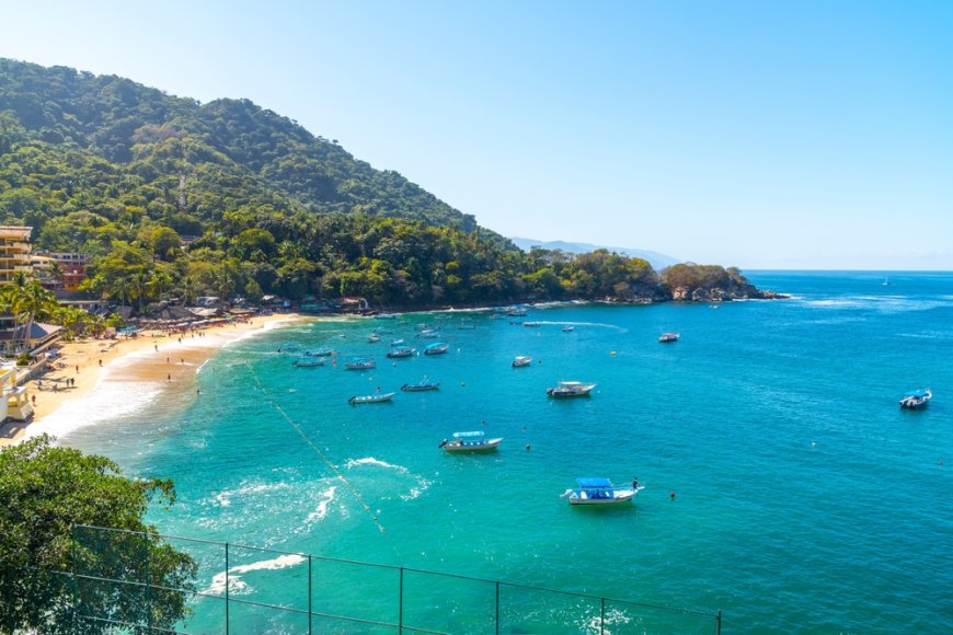 Bahía Banderas: Un destino de relajamiento y desconexión en la naturaleza