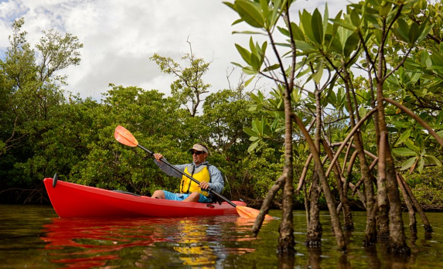 Conoce las nuevas cuatro áreas protegidas de Quintana Roo