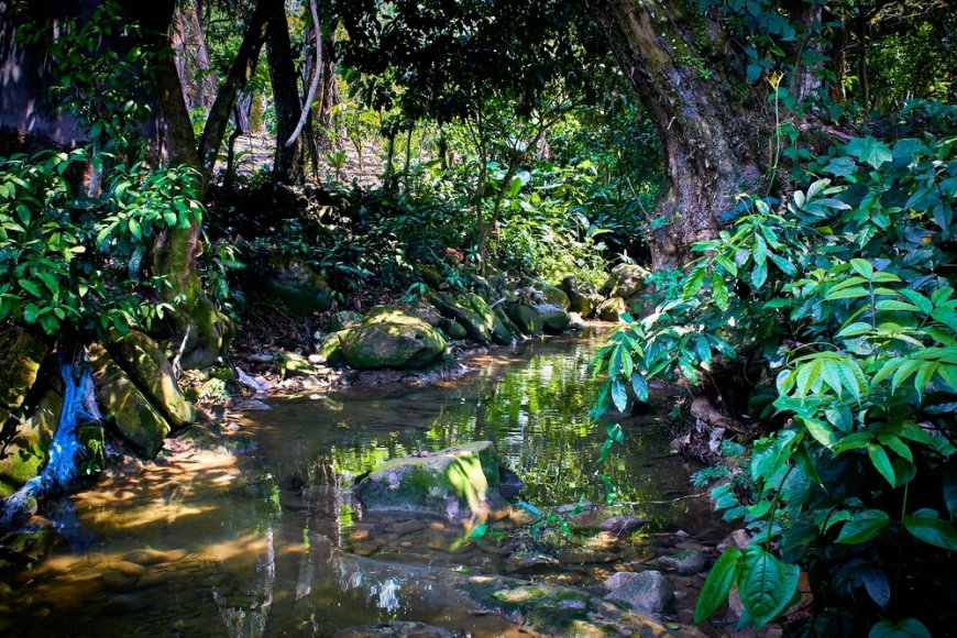 Descubre la Aventura Ecoturística en las Áreas Protegidas de Veracruz