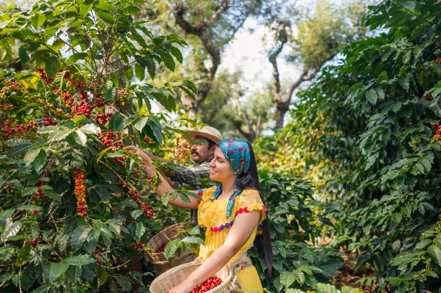 ¡Embárcate en una Aventura Café-tástica en Puebla!