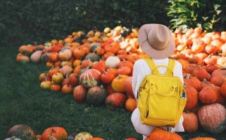 ¡Ha llegado la Spooky Season a México, Pumpkin Dash 2023!