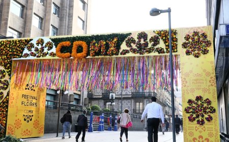 ¡Explora la magia floral en el Centro Histórico: Festival de ofrendas 2023!