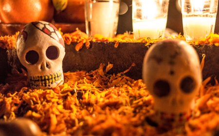 Descubre la mística historia de la mariposa monarca relacionada con el Día de Muertos