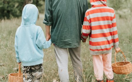 ¿Conocías el Turismo Micológico? Visita estos bosques mexicanos para realizarlo