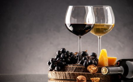 Asiste al VINOFEST Internacional 2023 en Querétaro