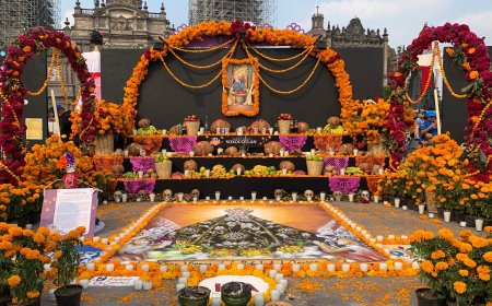 Turismo cultural: Descubre la megaofrenda del día de muertos de la CDMX