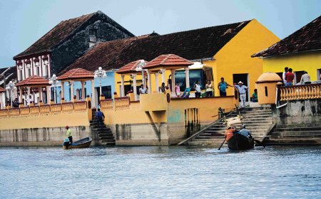 6 Aventuras que no te Puedes Perder en Palizada, la Joya Mágica de Campeche