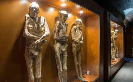 Viaja a Guanajuato y asiste a su exhibición de las momias viajeras